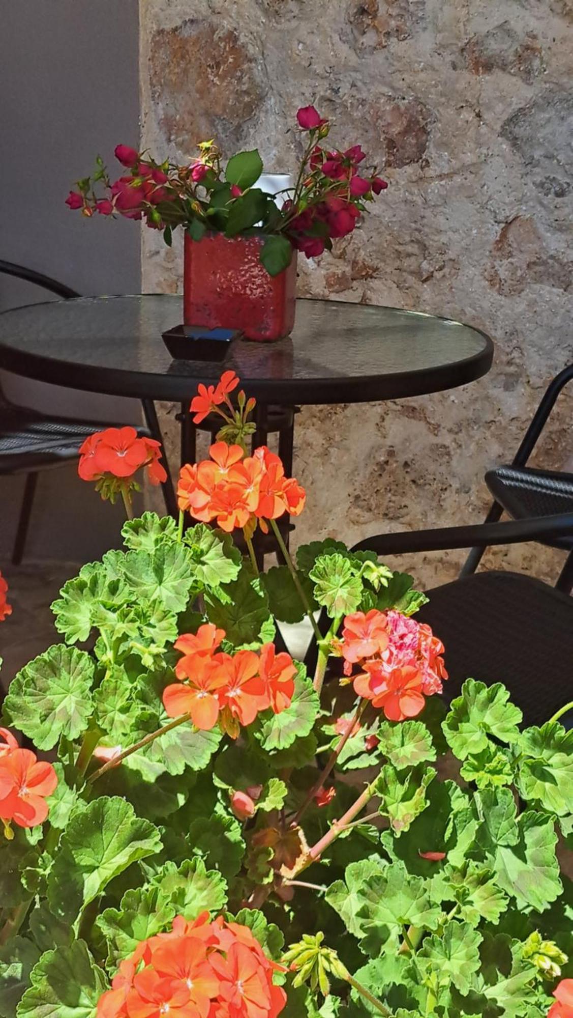 הוילה פארגה Sogno 2 מראה חיצוני תמונה